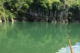广西男子钓起“西江奇鱼”，民间称为“青衣鱼”，形似巨型麦穗图片