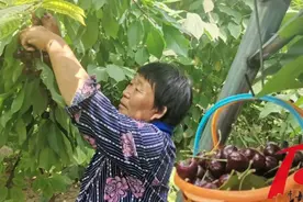 平山县：易地扶贫搬迁开启百姓新生活图片