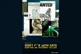 剧名叫别惹猫咪，差点以为是动保题材，实际背后还有跨国大案图片