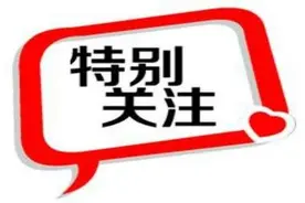 大庆一老人背部淤青竟是另类养生 撞树强身靠谱吗？图片