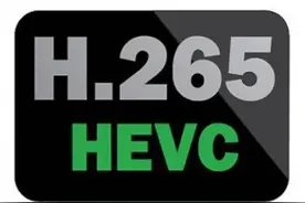 视频监控系统中H.265、SVAC、GB/T28181、ONVIF、PSIA有什么区别图片