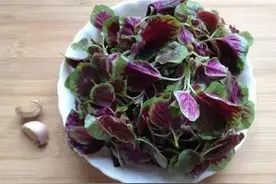绿苋菜好？还是紫红苋菜好？区别可不小，了解清楚别“瞎买”图片
