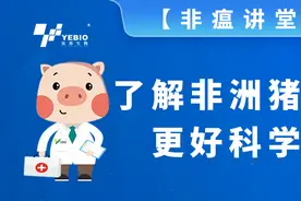 【非瘟讲堂/第二堂】非洲猪瘟强毒的感染特点及对临床的指导意义图片