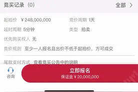 兰山法院司法拍卖现场！这处房产起拍价高达2.48亿！图片