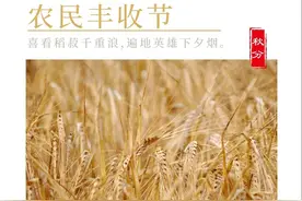 一纸检察建议，1300多亩撂荒耕地被复垦图片