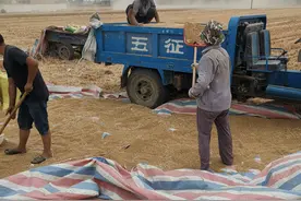 浅析为什么会有农村大片的土地无人种植？这种说法对吗图片