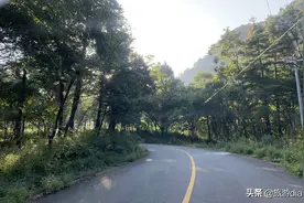 太白黄柏塬之行，这条曾经的美丽乡村路，一半是地狱，一半是天堂图片