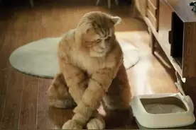 39岁胡歌自毁形象演“橘猫”！时隔多年罕露面 网友直呼太敬业图片