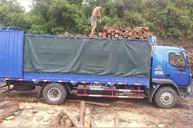 佛系拉货，做一名乐观的卡车司机，这不是无用的心灵鸡汤图片