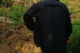 重庆万盛经开区关坝镇杨总兵墓，杨家人守墓至今已经繁衍了29代人图片
