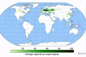 最新消息丨河南农业大学科研团队绘制出最复杂黑麦基因组物理图谱图片
