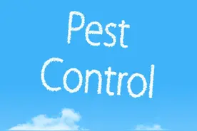 091期福彩3d太湖字谜，除四害，心要齐，三大战，全无敌图片