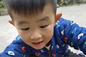 小孩在蜂场玩死了十几只蜜蜂，没想到却帮爷爷挽救了一群蜜蜂图片