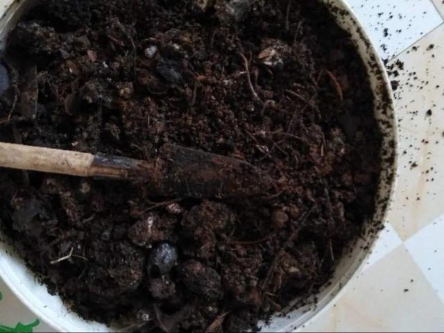养分含量超高的营养土，自己在家也能做，省下一大笔 买花钱