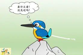 只听过鸟屎，难道鸟儿不撒尿吗图片