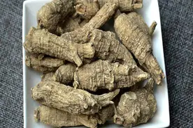 西洋参吃了大半辈子，它的内幕：软枝与硬枝哪个好？没几个知道图片