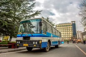 和国外一比，国内旅游大巴车司机就是旅行社的硬伤图片