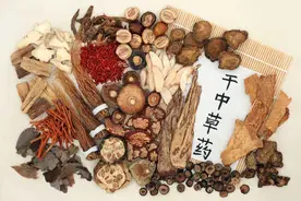 大黄“六兄弟”，泻火效不同图片