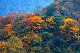 初冬深山探景（原创摄影图文）图片