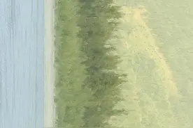 最新刷步教程 | 蚂蚁森林如何快速刷步数，获得296g能量图片