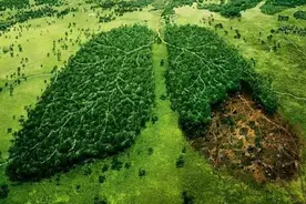 杀死恐龙的小行星，创造了亚马逊雨林！拯救地球，它只留给咱43年图片