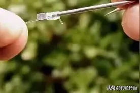 钓鱼时怎样选择鱼钩?选择对与错，就是爆护与空护之间的选择！图片