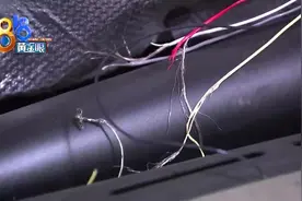 车子线路被咬断，小区流浪猫干的？图片