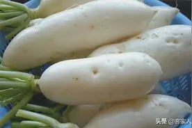 客家人百吃不腻的萝卜吃法，传统味口感好，酸辣爽口好吃到不想停图片