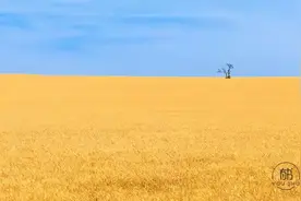 越是“不要脸”，往往活得越有面子图片