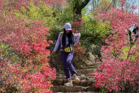 清明踏青赏花哪里去？鲁山诗景龙潭峡一日游攻略请收藏！图片