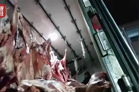 河南处置央视“3·15”曝光河北青县“瘦肉精”羊肉流入河南事件图片