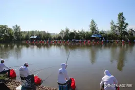 黑坑套路深，钓友不能忍！广西某黑坑虚假宣传，抽水捞鱼大跌眼镜图片