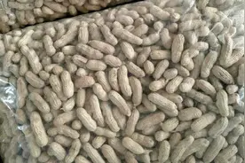 生花生3元/斤，炒熟的五香花生4元/斤，农村小贩利润从哪来？图片