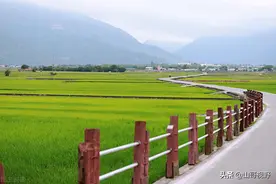 台湾省农民为何比大陆农民富裕？他们的运营模式让农民更挣钱图片