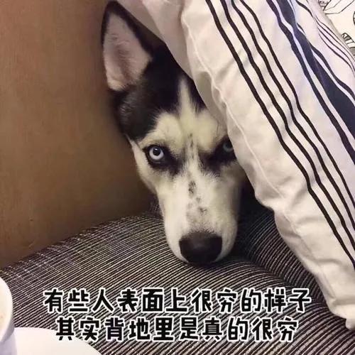 һֻҪǮ