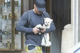 44岁奥兰多猛男式遛狗，身穿黄色小短裤好性感，袜子比狗都高图片