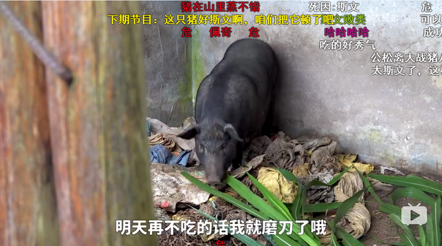 鸡皮疙瘩2在线观看带字