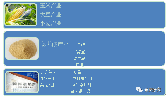 淀粉下游氨基酸产业简析