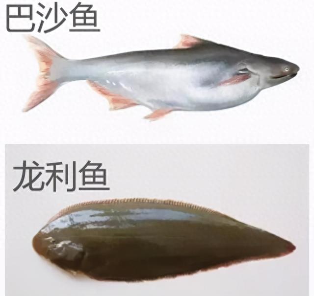 PUFA是什么脂肪酸，巴沙鱼激素多吗 配图04