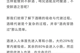 喝酒“断片”是怎么回事？一篇文章告诉你真实的原因图片