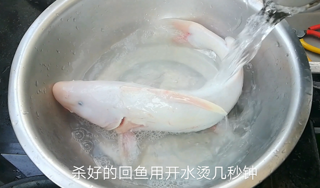 回鱼的鱼鳞怎么去掉