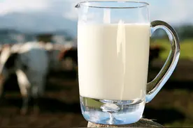 牛奶虽好，但不适合这8类人，看看有没有你图片