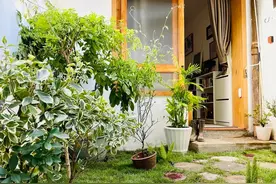 3w爆改40㎡老破小，造出一个江南院子，还装下卧室、书房、客餐厅图片