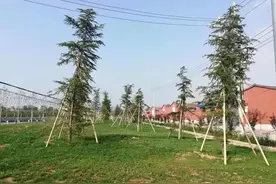 林州市：路美了，村美了，群众的心情也美了图片