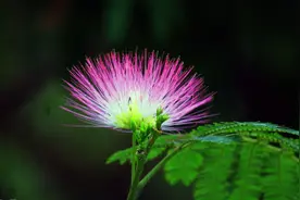 对你“日思夜想”的男人，见面时，才会有这3种表现图片