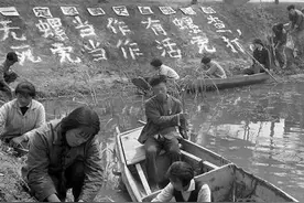 炭疽连续爆发，或许我们需要又一场伟大的全民性“爱国卫生运动”图片