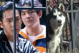 林更新：专治黑粉各种不服，亲自下场撕黑粉，正面硬刚不留情图片