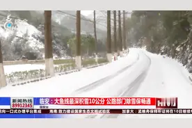 临安多处道路积雪，最深积雪达到10公分！公路部门出动视频封面