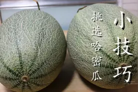 哈密瓜挑选有诀窍，牢记5点，个个清脆多汁，真是太实用了图片