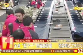 湖南省“双十一”快递业务量，预算将达2300万件，较去年增长40%视频封面